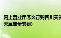 网上营业厅怎么订购四川天翼流量(网上营业厅怎么订购四川天翼流量套餐)