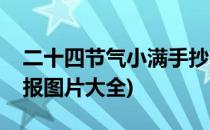 二十四节气小满手抄报(二十四节气小满手抄报图片大全)