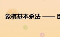 象棋基本杀法 —— 卧槽马(象棋马的杀法)
