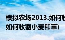 模拟农场2013.如何收割小麦(模拟农场2013.如何收割小麦和草)