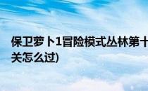保卫萝卜1冒险模式丛林第十二关攻略(保卫萝卜丛林第十一关怎么过)