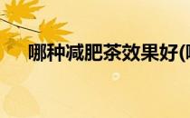 哪种减肥茶效果好(哪种减肥茶效果好?)