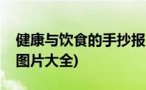 健康与饮食的手抄报图(健康与饮食的手抄报图片大全)
