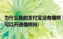 为什么我的支付宝没有借呗 有什么要求开通?(没用过支付宝可以开通借呗吗)