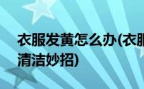衣服发黄怎么办(衣服发黄怎么办? 教你一个清洁妙招)