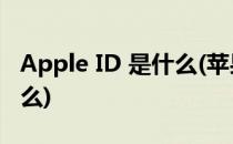 Apple ID 是什么(苹果手机上的appleid是什么)