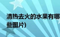 清热去火的水果有哪些(清热去火的水果有哪些图片)