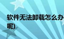 软件无法卸载怎么办呢(软件无法卸载怎么办呢)