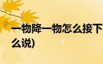 一物降一物怎么接下一句(一物降一物下句怎么说)