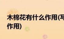 木棉花有什么作用(写江对描写木棉花有什么作用)
