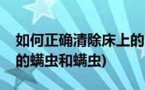 如何正确清除床上的螨虫(如何正确清除床上的螨虫和螨虫)