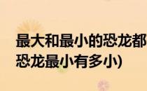 最大和最小的恐龙都有多大(恐龙最大有多大恐龙最小有多小)