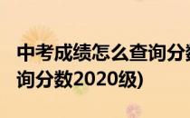 中考成绩怎么查询分数2020(中考成绩怎么查询分数2020级)
