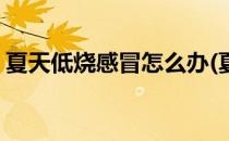 夏天低烧感冒怎么办(夏天低烧感冒怎么办啊)
