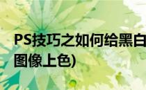 PS技巧之如何给黑白照片上色(ps如何给黑白图像上色)