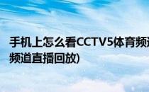 手机上怎么看CCTV5体育频道直播(手机上怎么看cctv5体育频道直播回放)