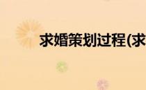 求婚策划过程(求婚策划过程视频)