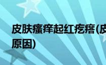 皮肤瘙痒起红疙瘩(皮肤瘙痒起红疙瘩是什么原因)
