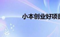 小本创业好项目(创业小项目)