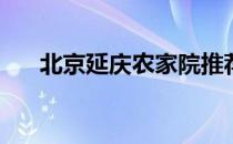 北京延庆农家院推荐(延庆附近农家院)