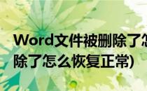 Word文件被删除了怎么恢复(word文件被删除了怎么恢复正常)