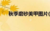 秋季磨砂美甲图片(秋季磨砂美甲图片)