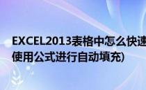 EXCEL2013表格中怎么快速自动填充公式(在excel2010中使用公式进行自动填充)