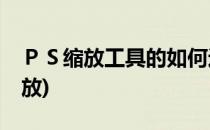 ＰＳ缩放工具的如何运用(ps缩放工具自由缩放)