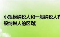 小规模纳税人和一般纳税人有什么区别(小规模纳纳税人和一般纳税人的区别)