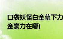 口袋妖怪白金幕下力士如何获得(口袋妖怪白金豪力在哪)