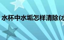 水杯中水垢怎样清除(水杯中水垢怎样清除掉)
