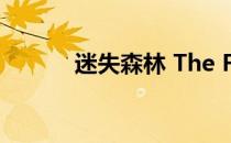 迷失森林 The Forest游戏攻略