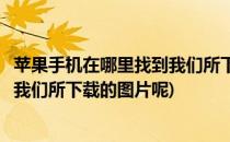 苹果手机在哪里找到我们所下载的图片(苹果手机在哪里找到我们所下载的图片呢)
