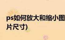 ps如何放大和缩小图片(ps如何放大和缩小图片尺寸)