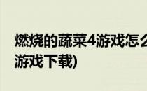 燃烧的蔬菜4游戏怎么快速过关(燃烧的蔬菜4游戏下载)