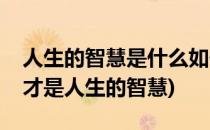 人生的智慧是什么如何理解人生的智慧(什么才是人生的智慧)