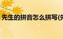 先生的拼音怎么拼写(先生的拼音怎么拼写呀)