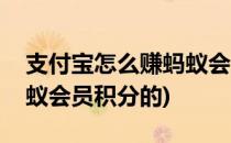 支付宝怎么赚蚂蚁会员积分(支付宝怎么赚蚂蚁会员积分的)