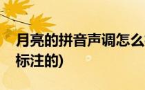 月亮的拼音声调怎么标(月亮的拼音声调怎么标注的)