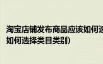 淘宝店铺发布商品应该如何选择类目(淘宝店铺发布商品应该如何选择类目类别)
