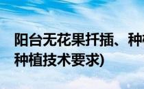 阳台无花果扦插、种植技术(阳台无花果扦插,种植技术要求)