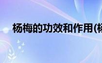 杨梅的功效和作用(杨梅干的功效和作用)