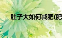 肚子大如何减肥(肥胖肚子大如何减肥)