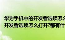 华为手机中的开发者选项怎么打开都有什么用(华为手机中的开发者选项怎么打开?都有什么用处)