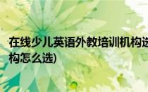 在线少儿英语外教培训机构选择标准及方法(英语外教培训机构怎么选)