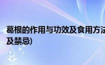 葛根的作用与功效及食用方法(葛根的作用与功效及食用方法及禁忌)