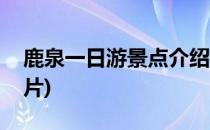 鹿泉一日游景点介绍(鹿泉一日游景点介绍图片)