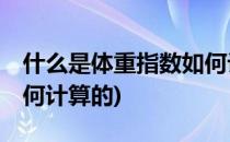 什么是体重指数如何计算(什么是体重指数,如何计算的)