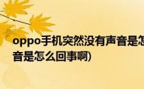 oppo手机突然没有声音是怎么回事(oppo手机突然没有声音是怎么回事啊)
