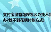 支付宝没有花呗怎么办找不到花呗付款(支付宝没有花呗怎么办?找不到花呗付款方式)